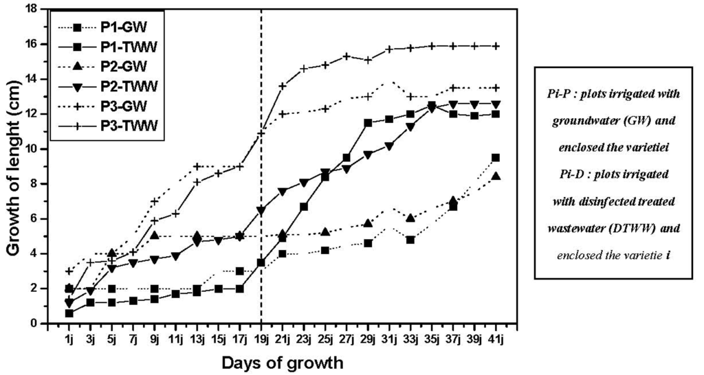 Water 03 01128 g005 1024