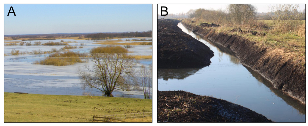 Water 05 01760 g001 1024