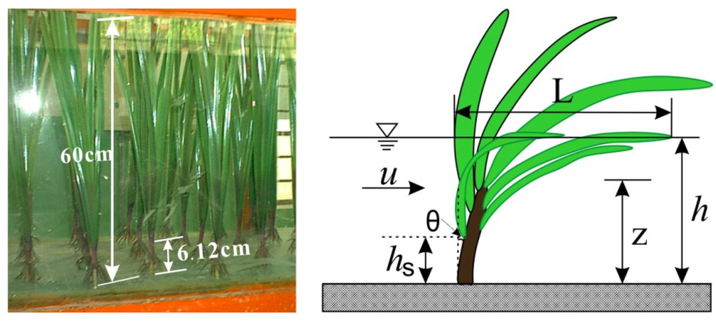 Water 05 02080 g001 1024