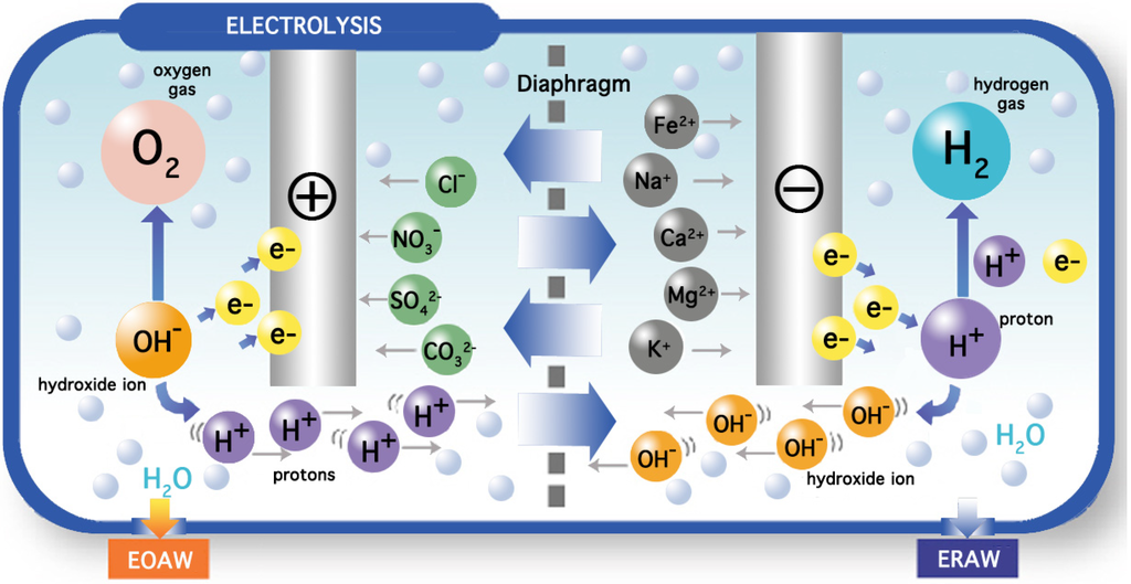 Original electrolysis chamber figure showing EOAW on the anode side and ERAW on the cathode side