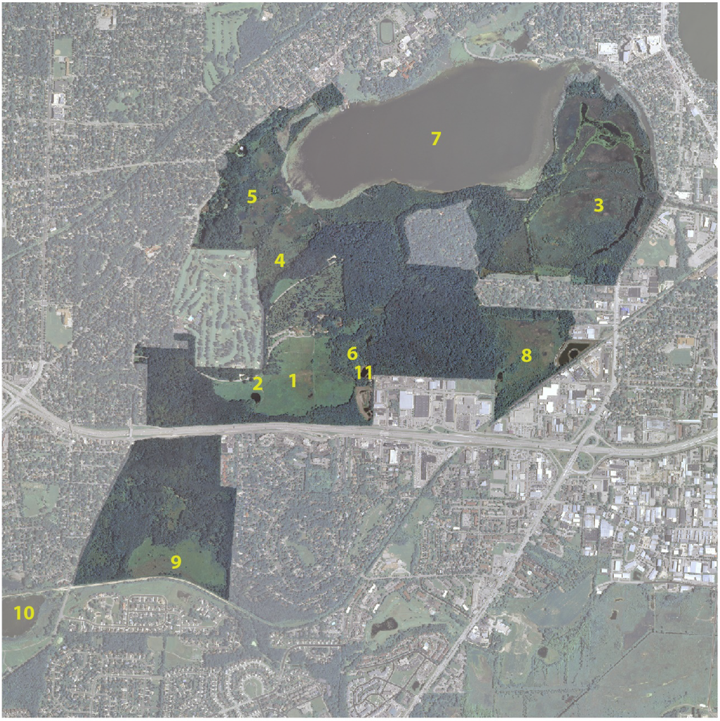 Water 06 00104 g001 1024