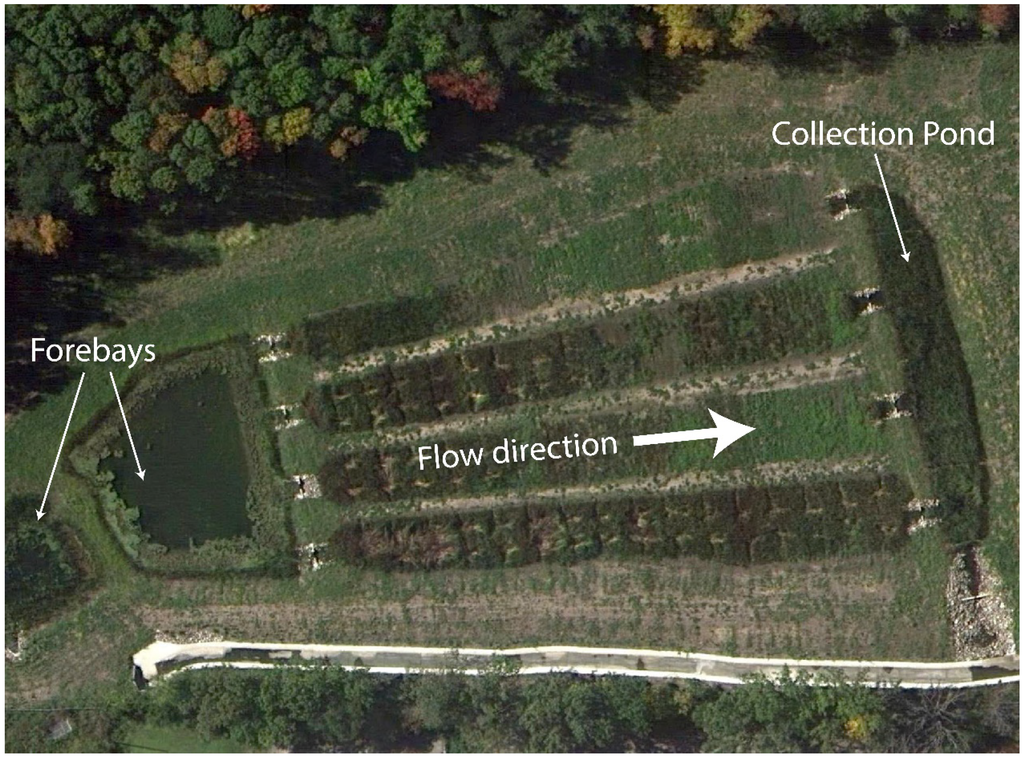 Water 06 00104 g004 1024