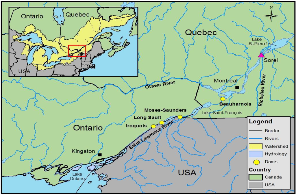 Water 06 00196 g001 1024