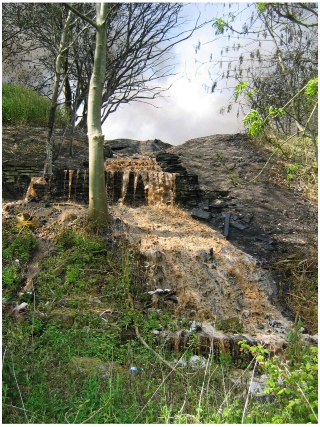 Water 06 00367 g001 1024