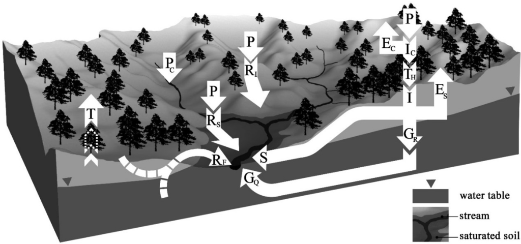 Water 06 00472 g002 1024