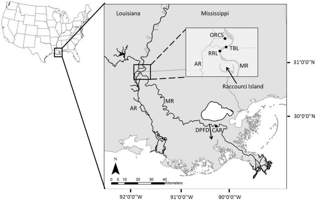 Water 06 00564 g001 1024