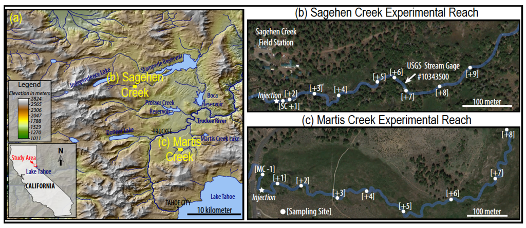 Water 06 01013 g001 1024