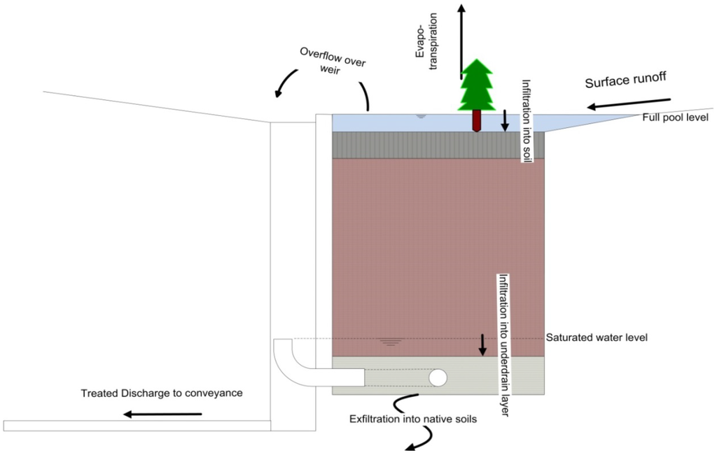 Water 06 01069 g002 1024