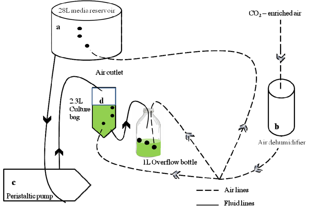 Water 06 01860 g001 1024