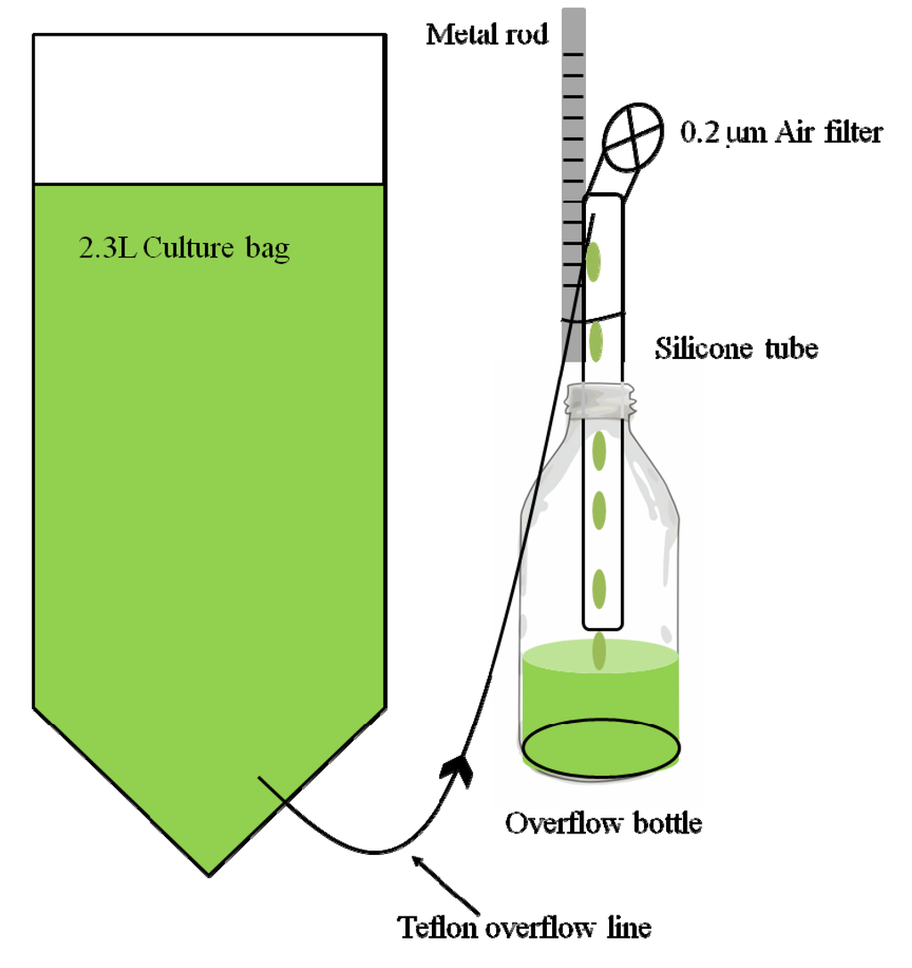 Water 06 01860 g002 1024