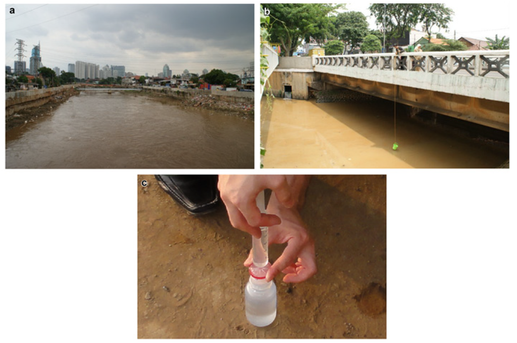 Water 06 01945 g001 1024