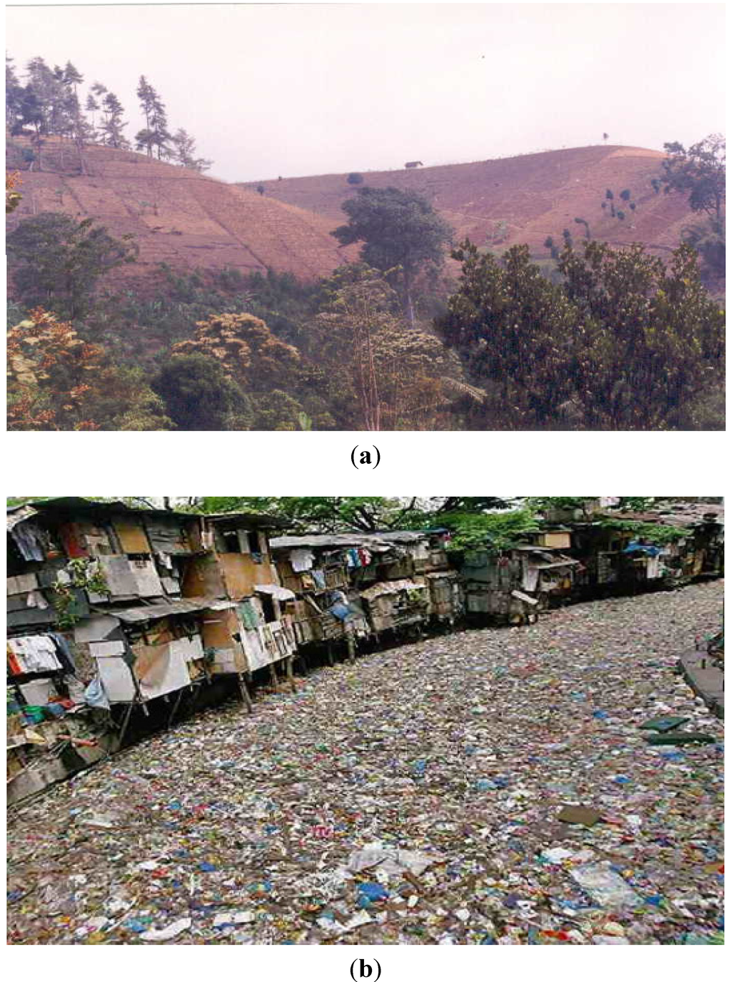 Water 06 02000 g002 1024