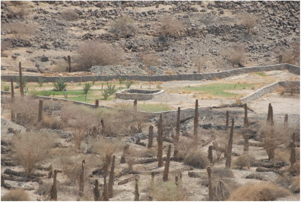 Water 06 02322 g001 1024