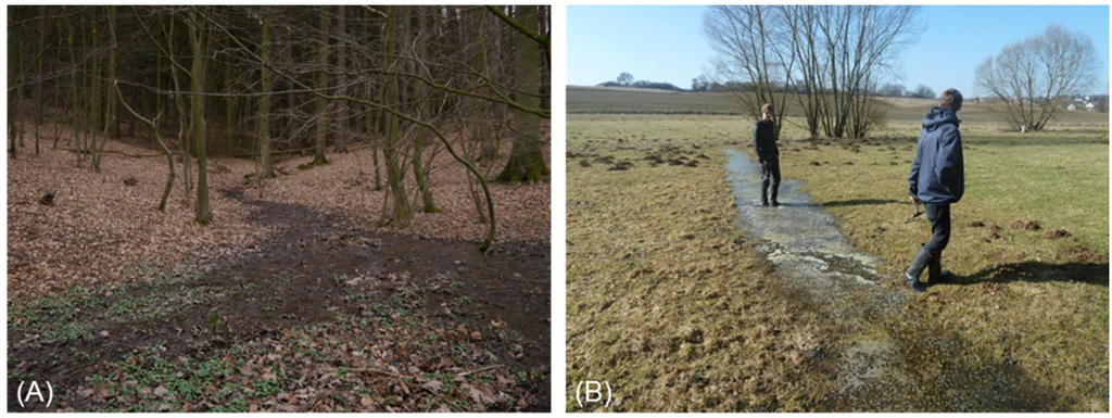 Water 06 03085 g010 1024