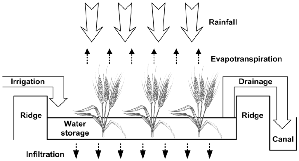 Water 06 03339 g005 1024