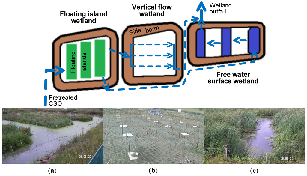 Water 06 03362 g001 1024