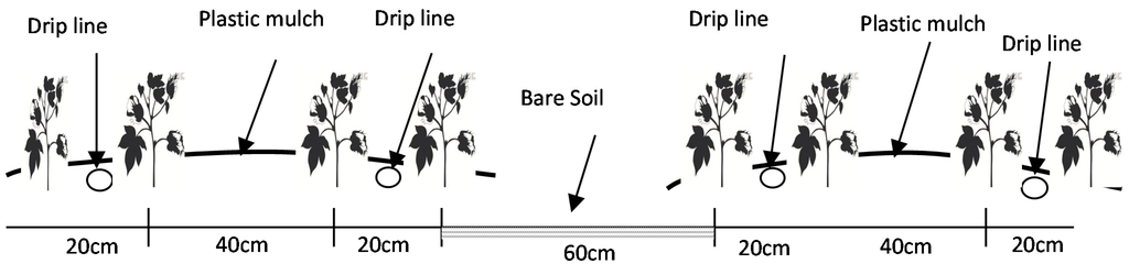 Water 07 00116 g001 1024