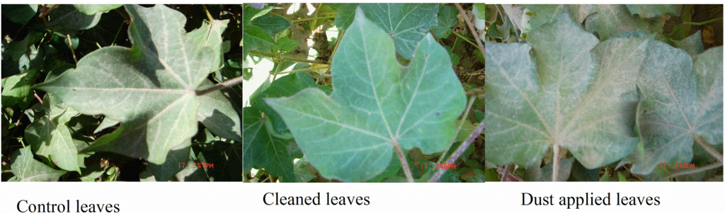 Water 07 00116 g003 1024