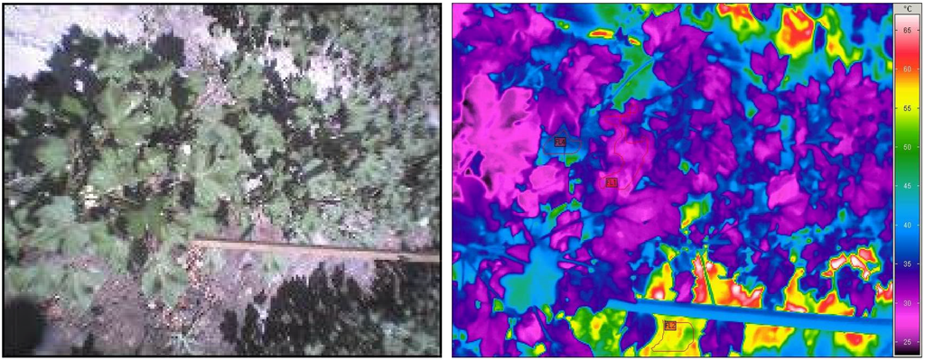 Water 07 00116 g004 1024