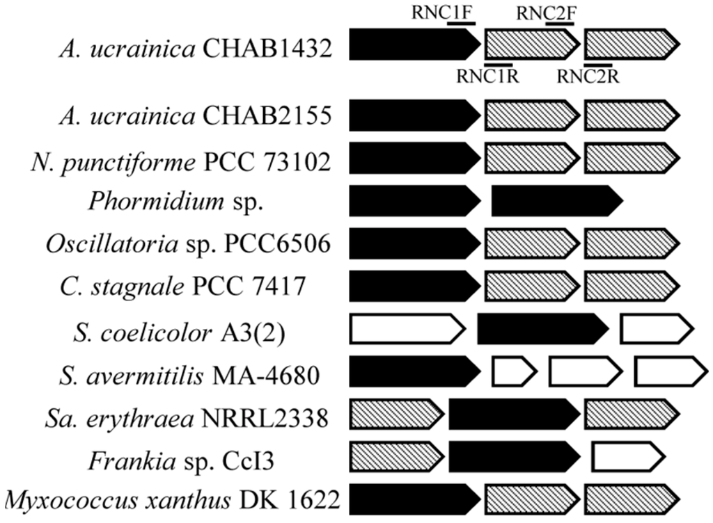 Water 07 00175 g003 1024