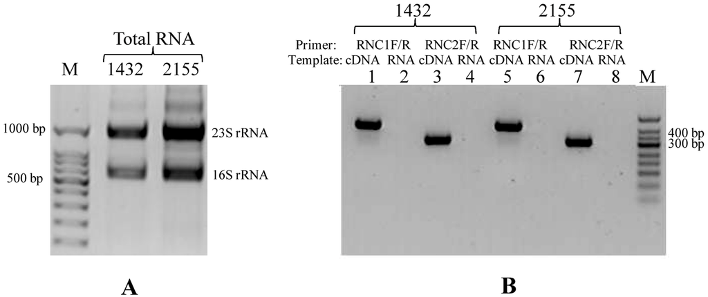 Water 07 00175 g004 1024