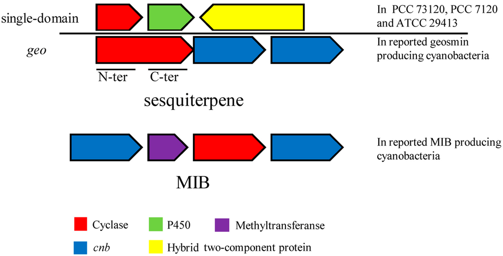 Water 07 00175 g006 1024