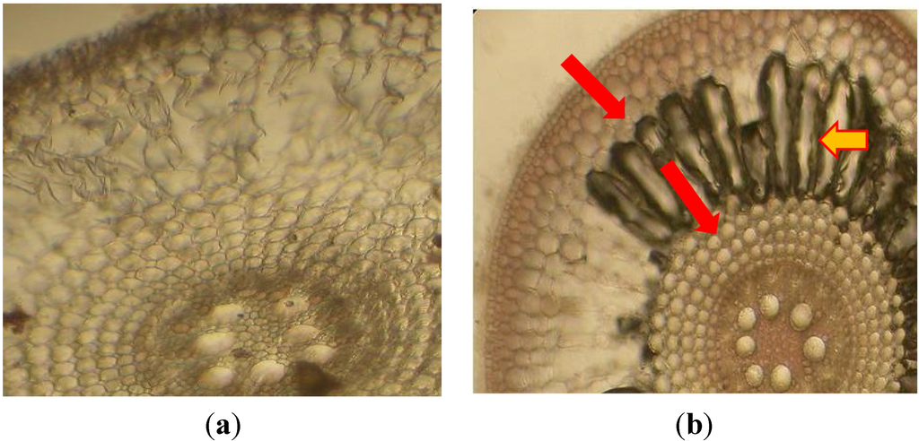 Water 07 00329 g004a 1024