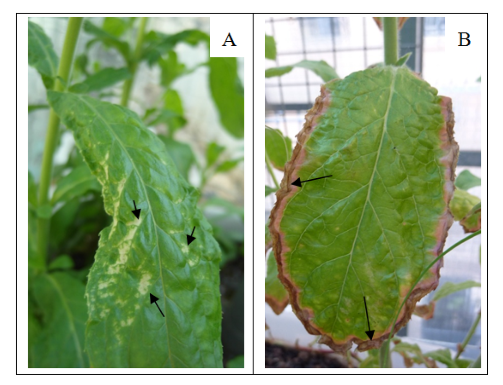 Water 07 00697 g002 1024