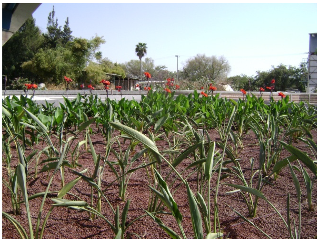 Water 07 01149 g001 1024