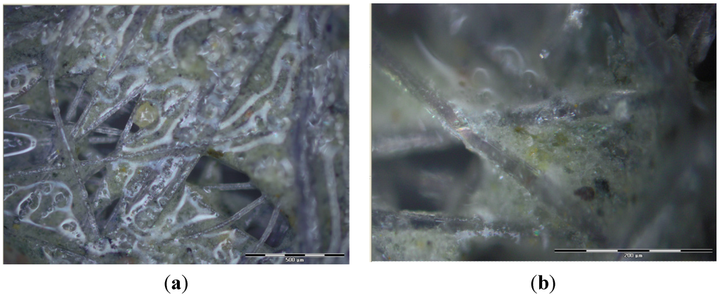 Water 07 01595 g008 1024