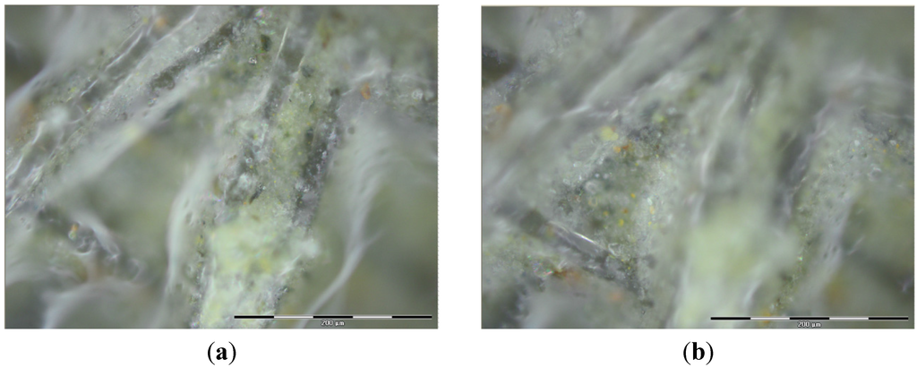 Water 07 01595 g009 1024