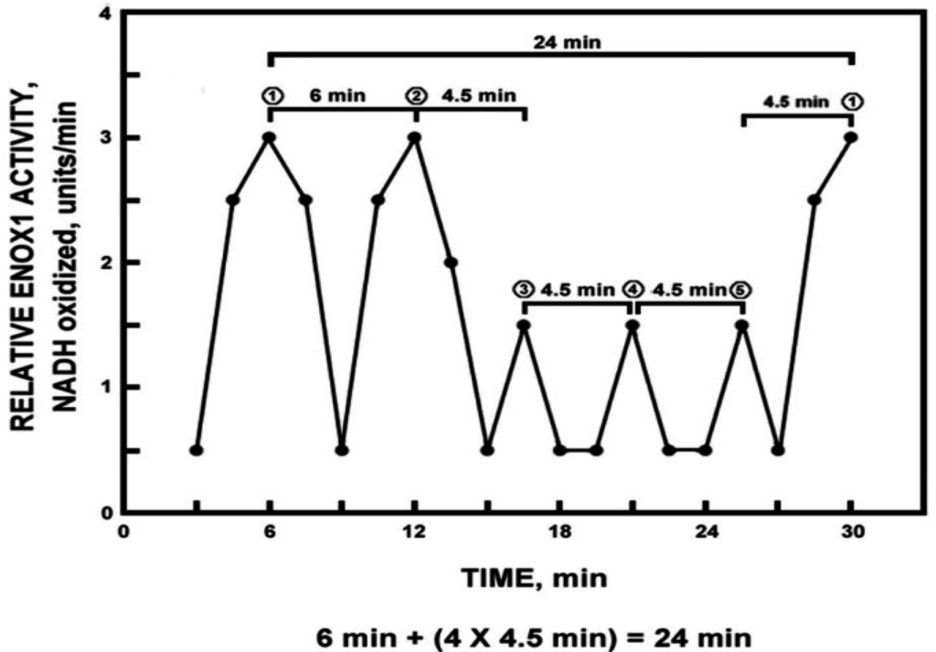 Water 07 02082 g001 1024