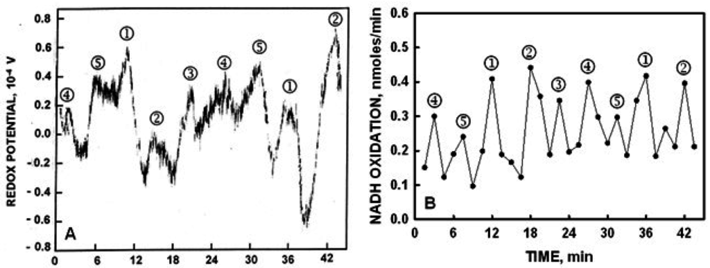 Water 07 02082 g008 1024