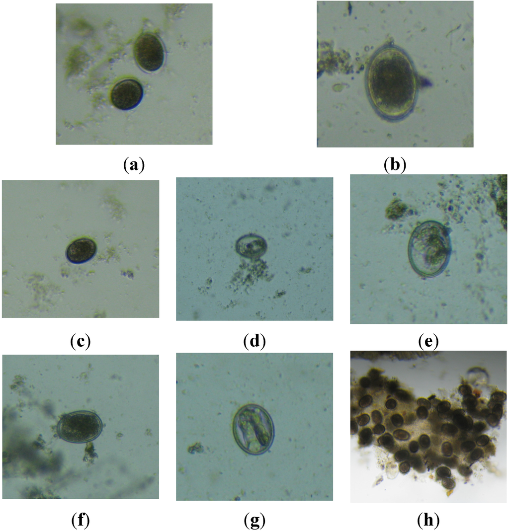 Water 07 02402 g010 1024