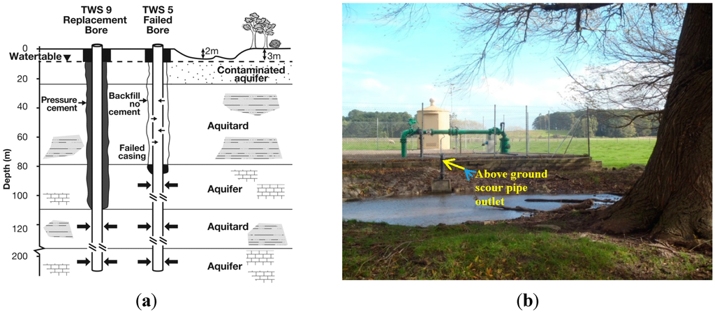 Water 07 03878 g008 1024