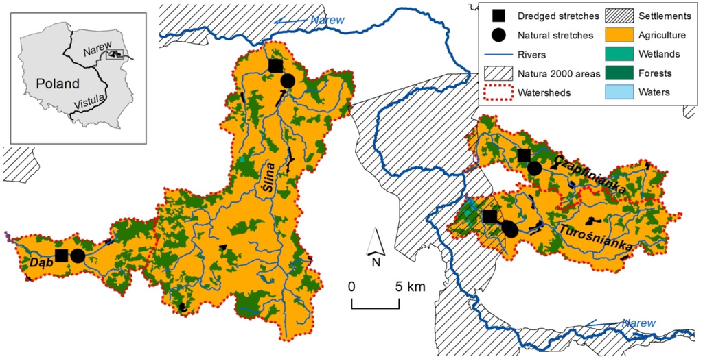 Water 07 04511 g001 1024