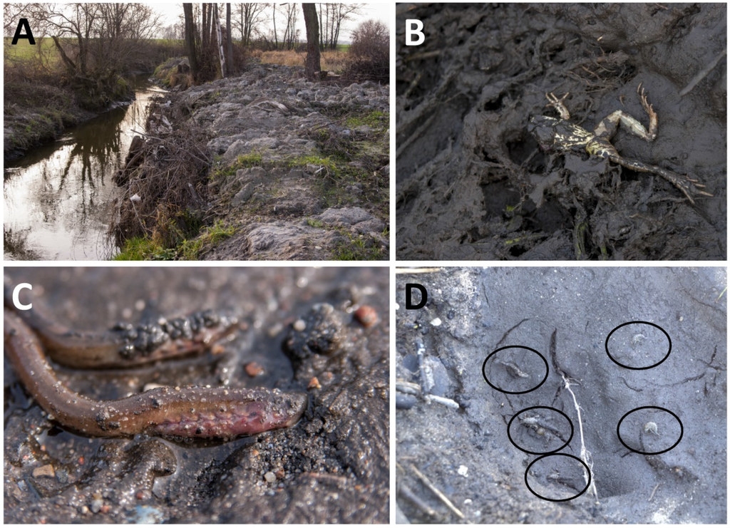 Water 07 04511 g004 1024