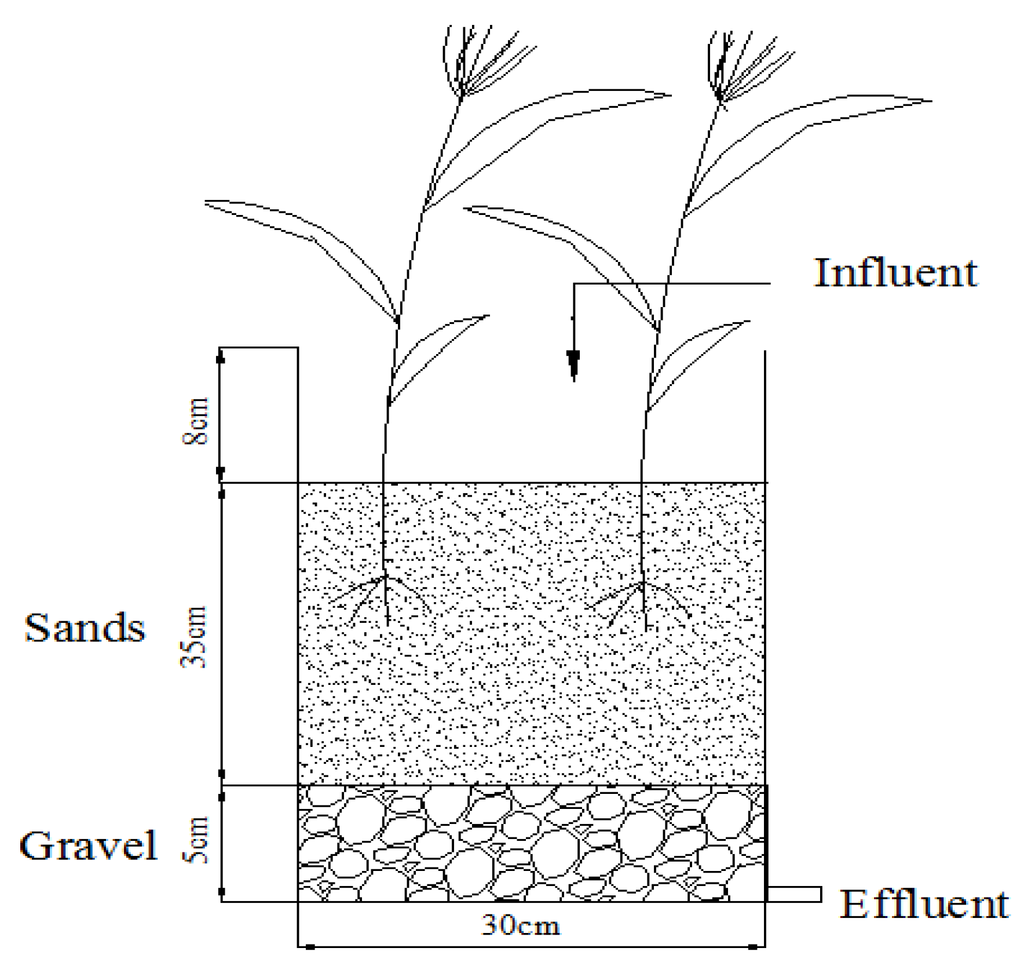 Water 08 00024 g001 1024
