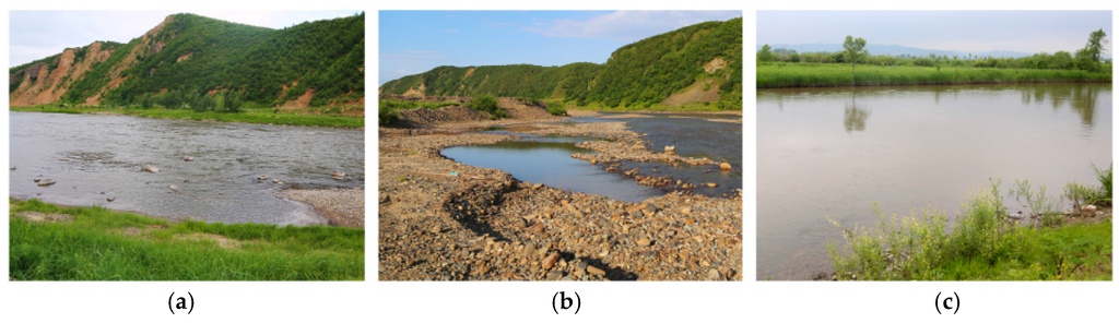 Water 08 00031 g002 1024