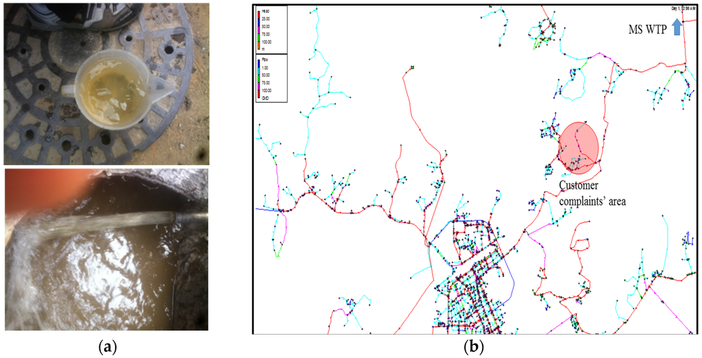 Water 08 00049 g007 1024