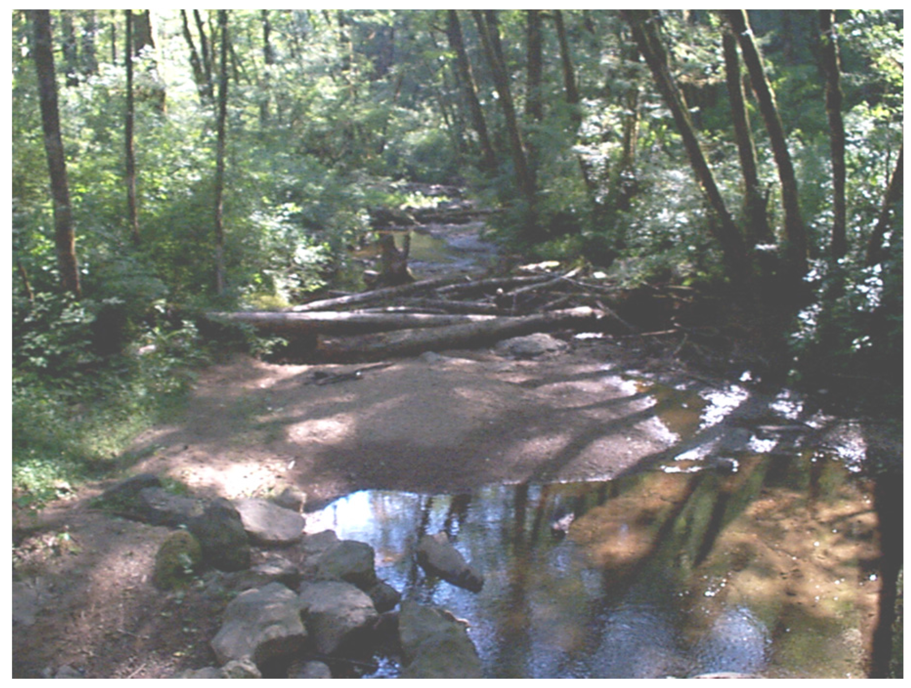 Water 08 00133 g008