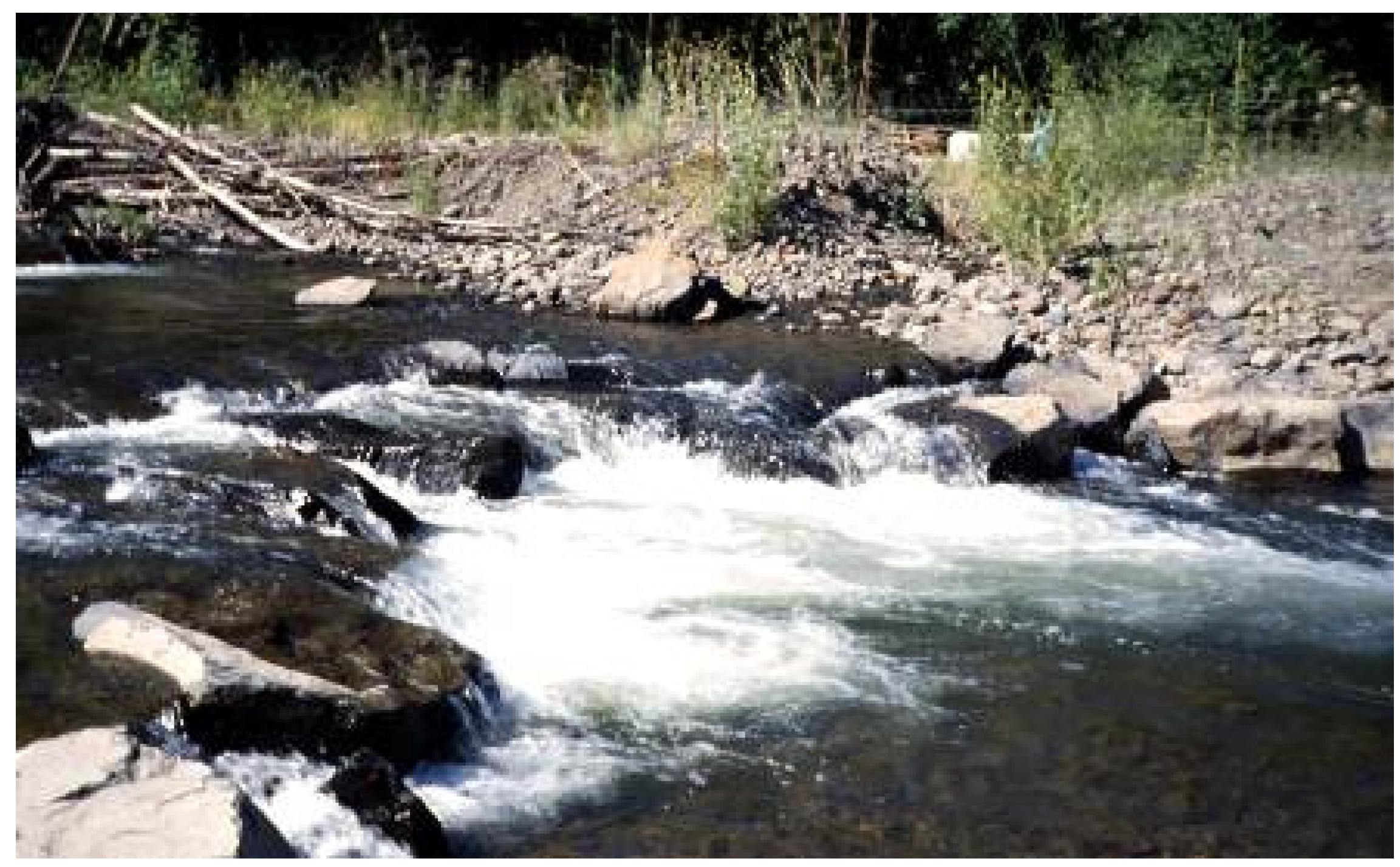 Water 08 00133 g010