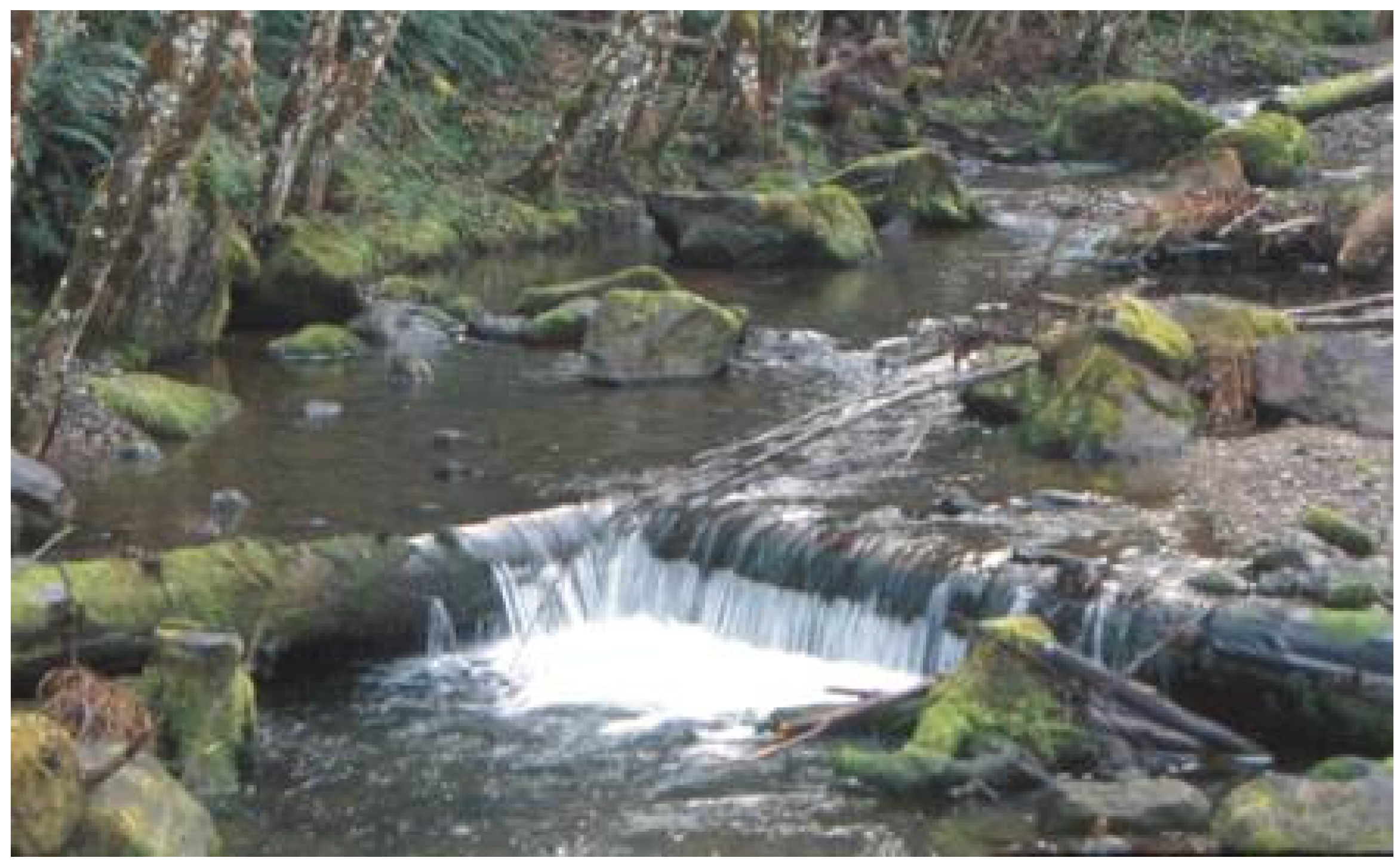 Water 08 00133 g011