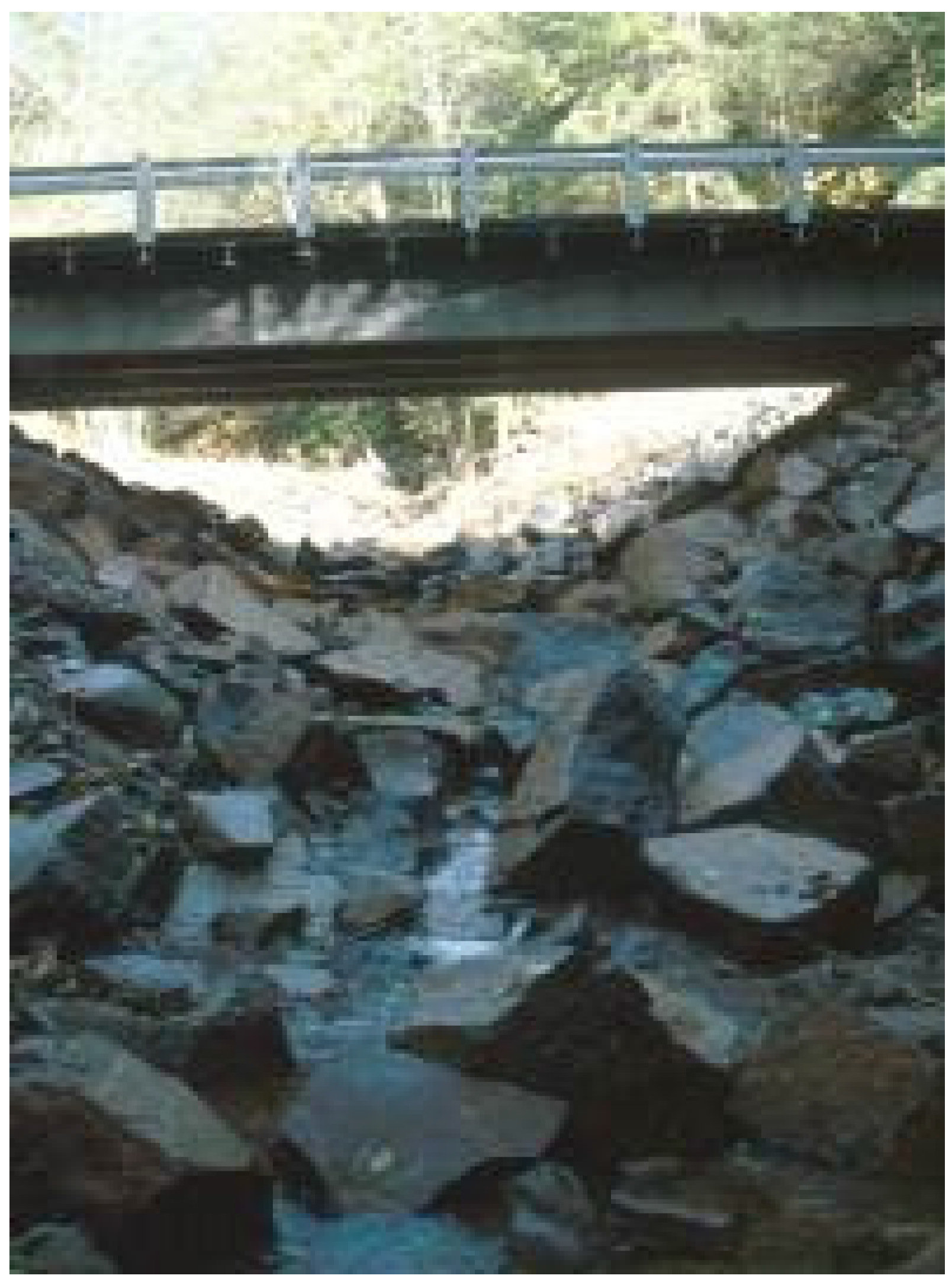 Water 08 00133 g013