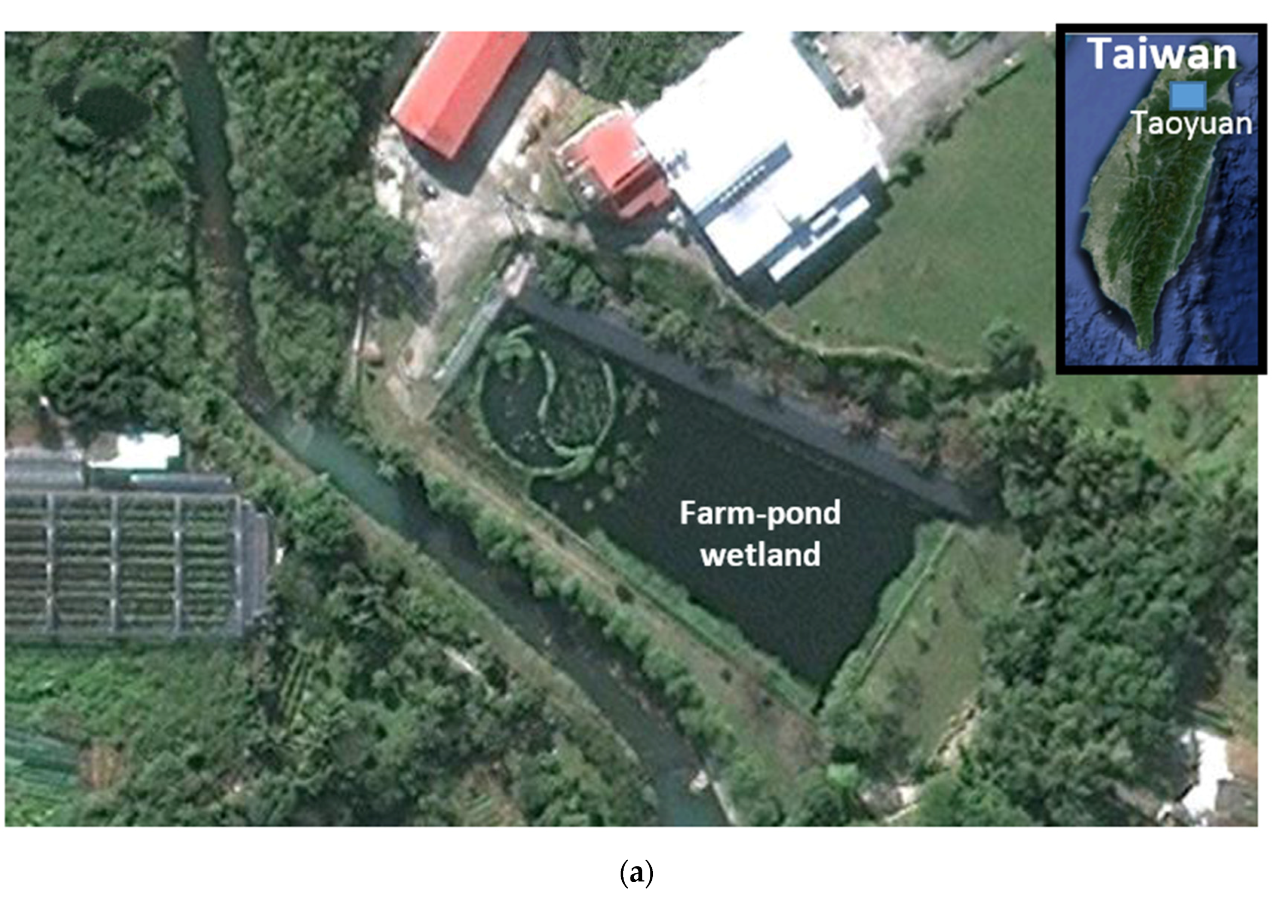 Water 08 00265 g001a