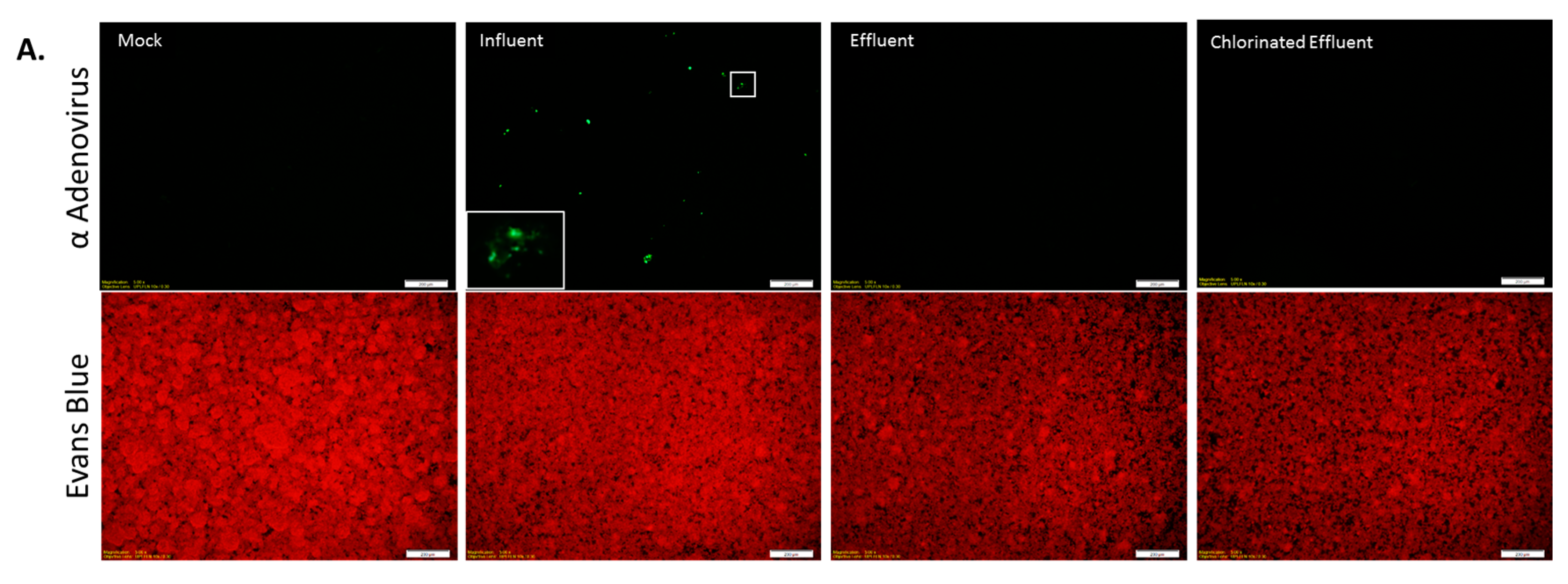 Water 09 00534 g004a