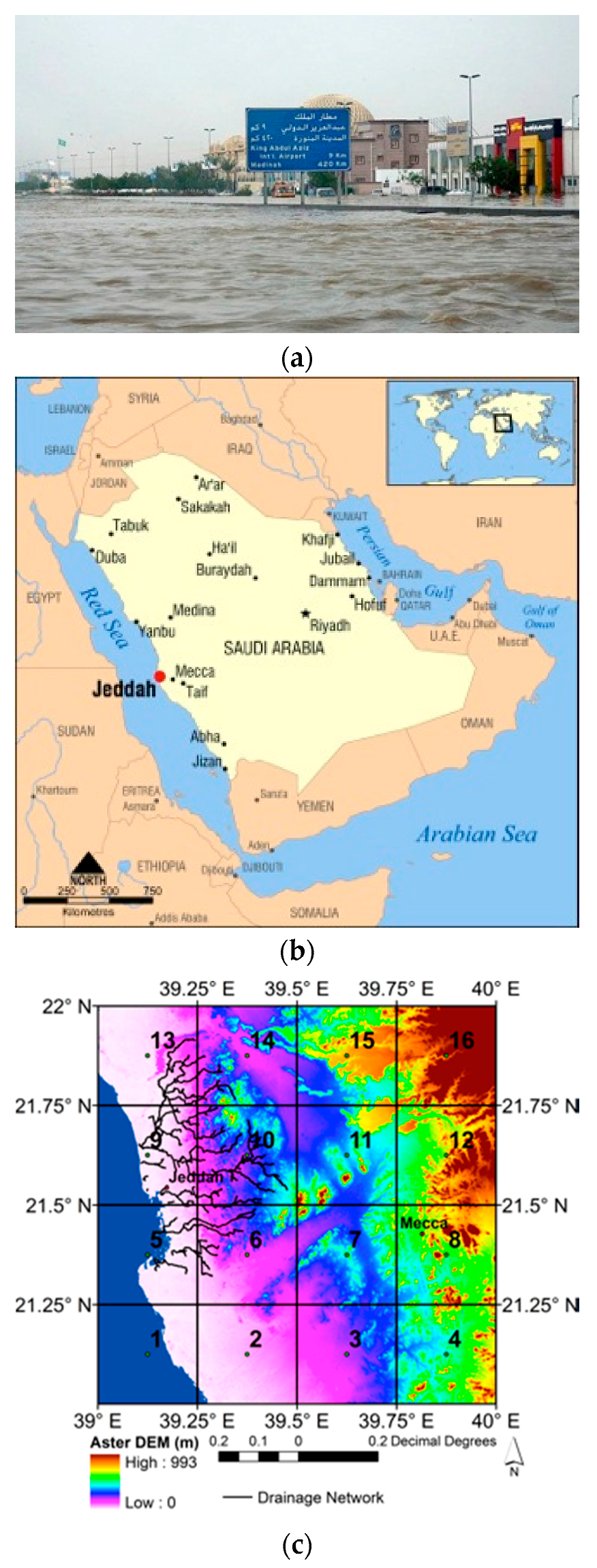 Water 09 00612 g001 Water 09 00612 g001