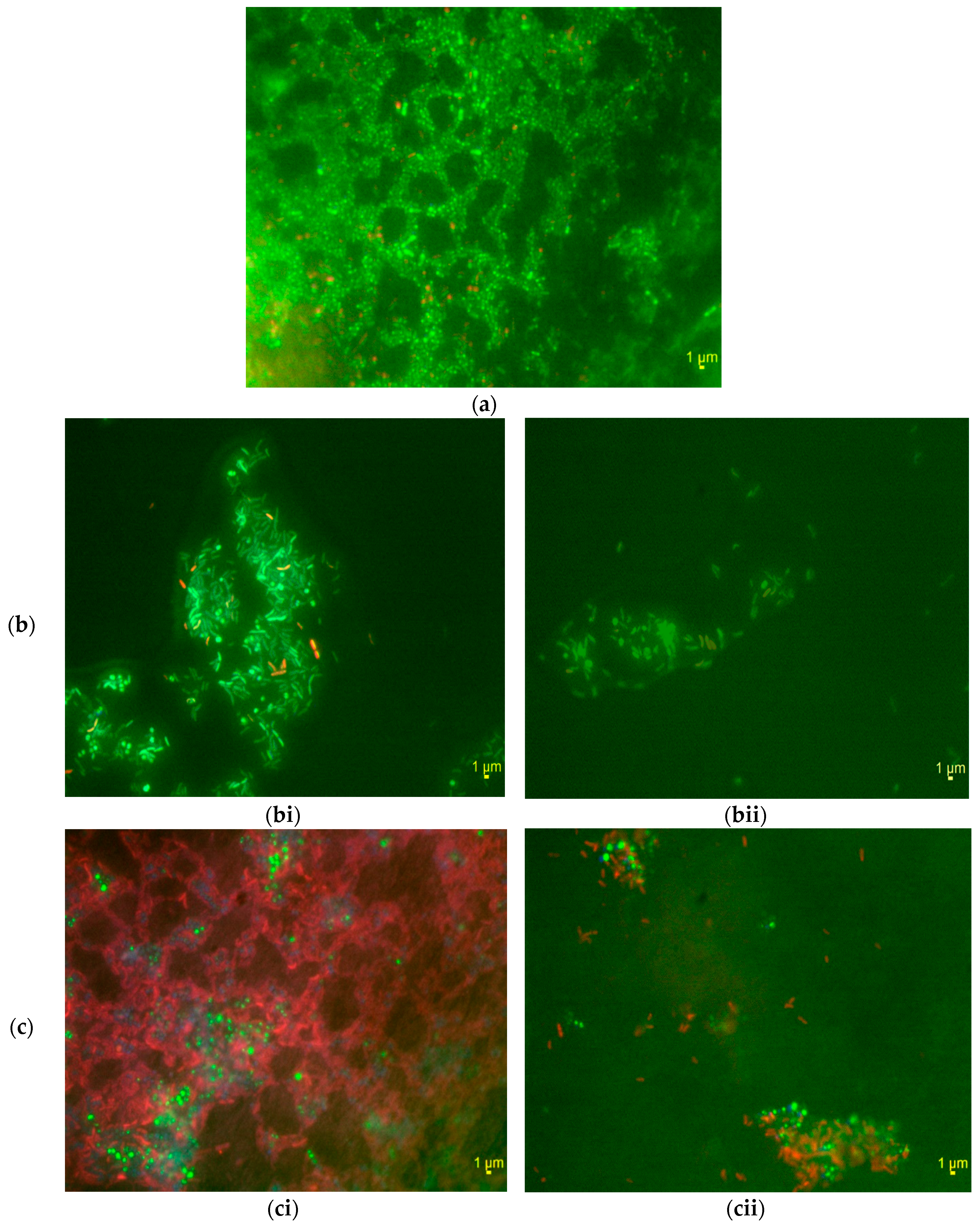 Water 09 00778 g004 Water 09 00778 g004