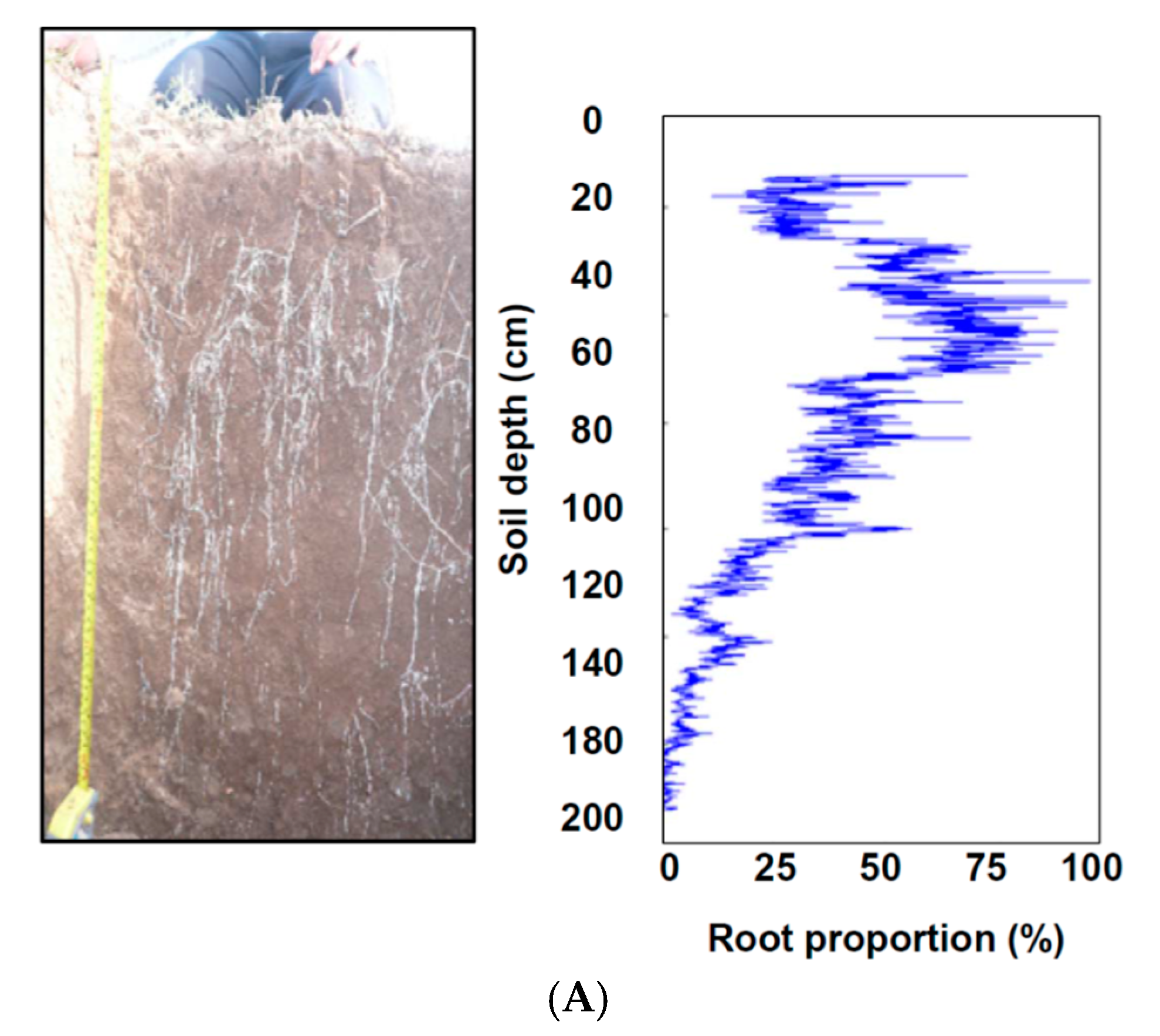 Water 09 00837 g004a