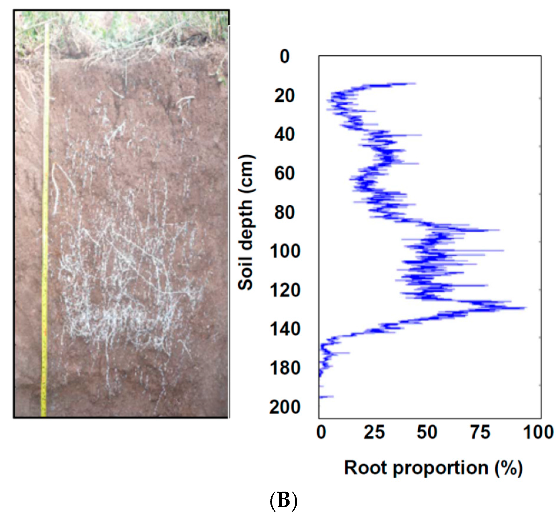 Water 09 00837 g004b